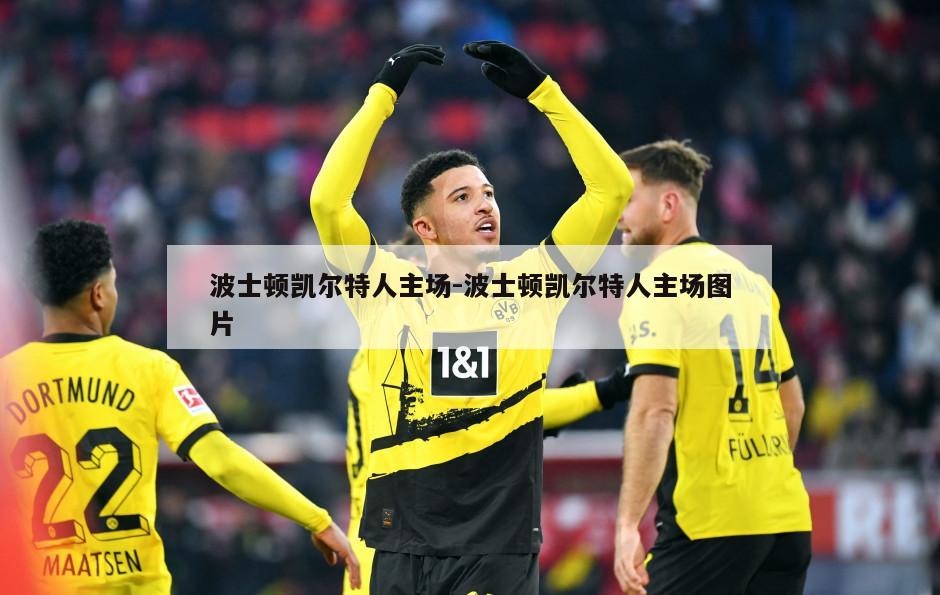 波士顿凯尔特人主场-波士顿凯尔特人主场图片