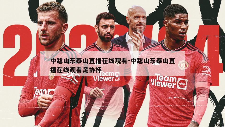 中超山东泰山直播在线观看-中超山东泰山直播在线观看足协杯