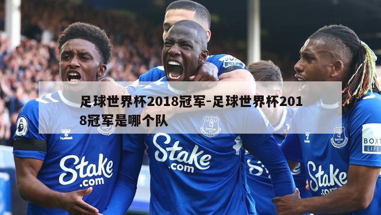 足球世界杯2018冠军-足球世界杯2018冠军是哪个队