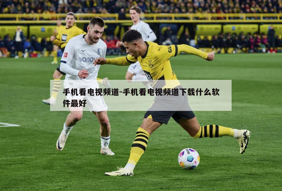 手机看电视频道-手机看电视频道下载什么软件最好