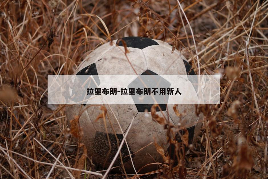 拉里布朗-拉里布朗不用新人