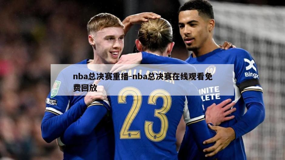 nba总决赛重播-nba总决赛在线观看免费回放