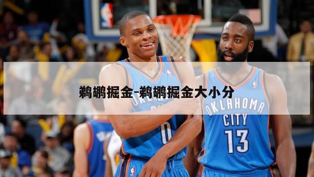 鹈鹕掘金-鹈鹕掘金大小分