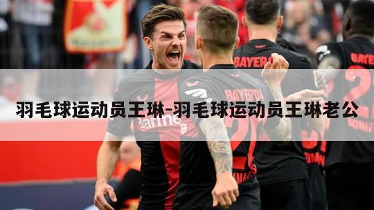 羽毛球运动员王琳-羽毛球运动员王琳老公