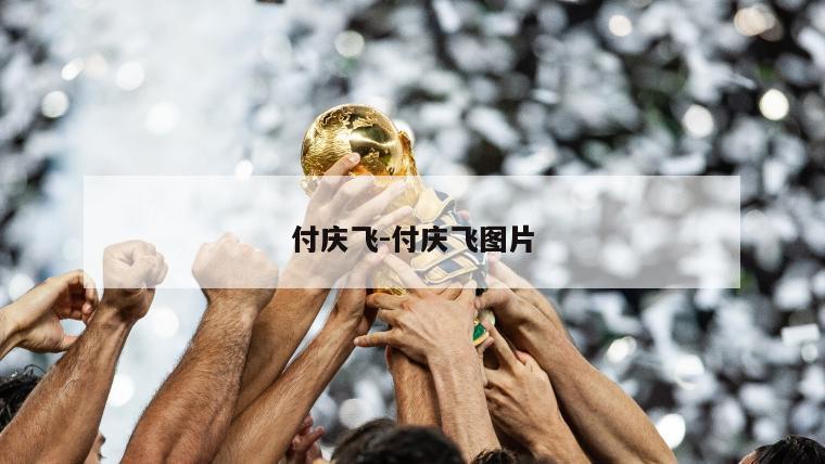 付庆飞-付庆飞图片