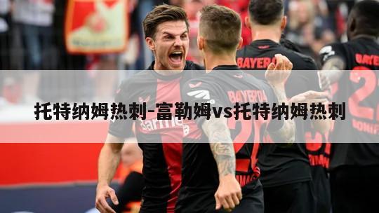 托特纳姆热刺-富勒姆vs托特纳姆热刺