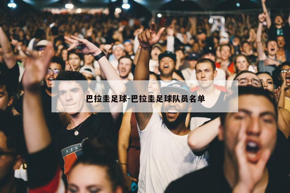 巴拉圭足球-巴拉圭足球队员名单