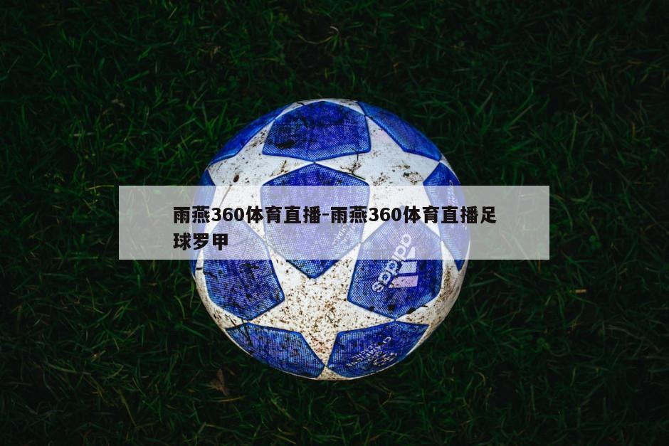 雨燕360体育直播-雨燕360体育直播足球罗甲