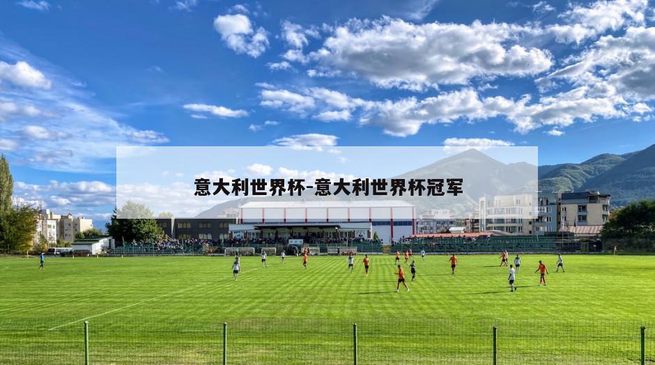 意大利世界杯-意大利世界杯冠军