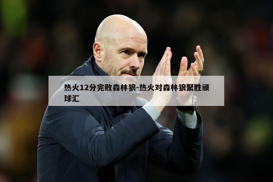 热火12分完败森林狼-热火对森林狼聚胜顽球汇
