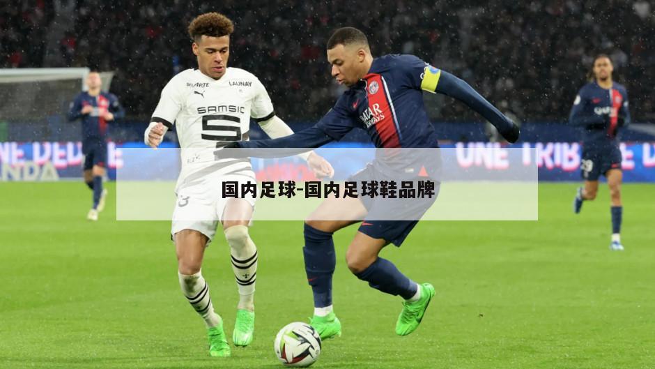 国内足球-国内足球鞋品牌