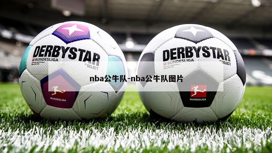 nba公牛队-nba公牛队图片