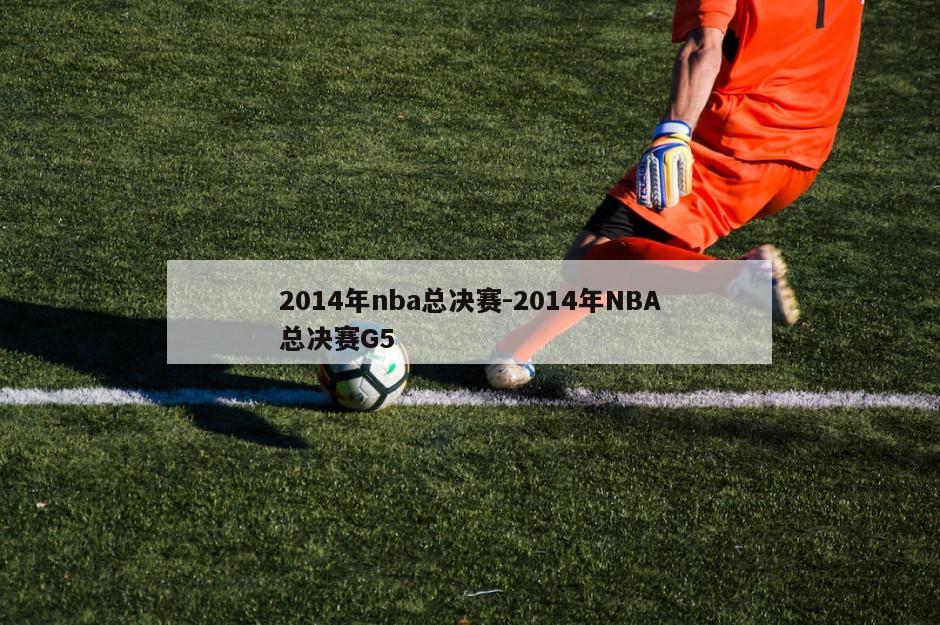 2014年nba总决赛-2014年NBA总决赛G5