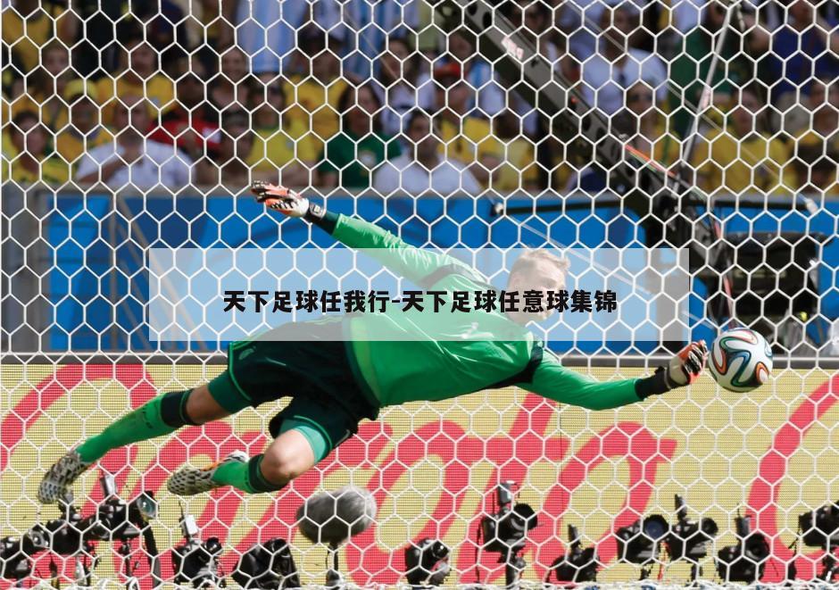 天下足球任我行-天下足球任意球集锦