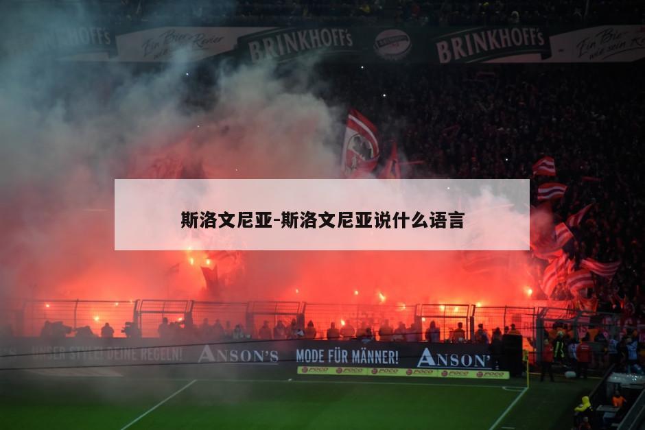 斯洛文尼亚-斯洛文尼亚说什么语言