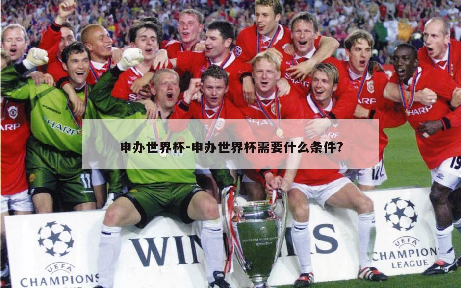 申办世界杯-申办世界杯需要什么条件?