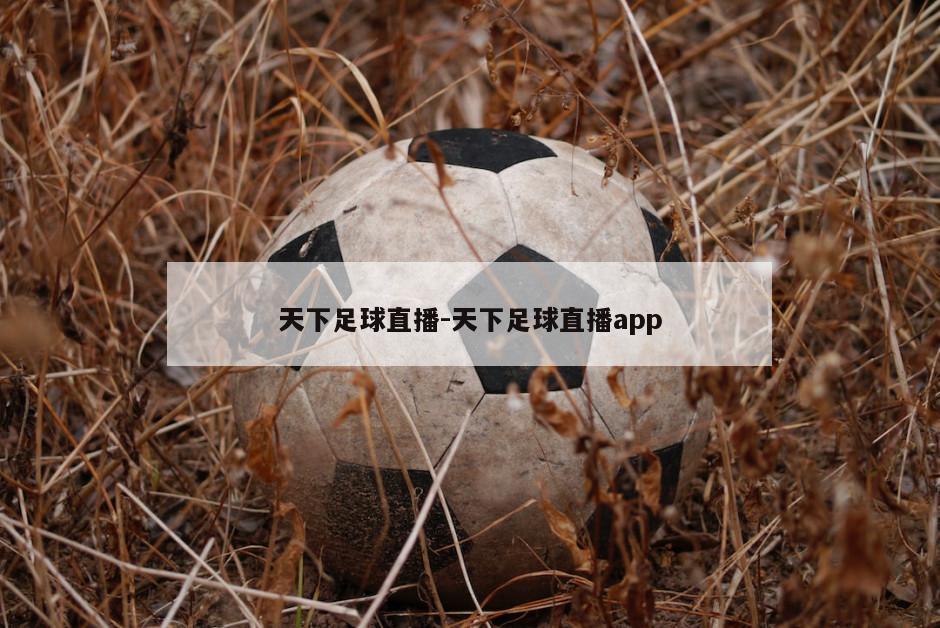 天下足球直播-天下足球直播app