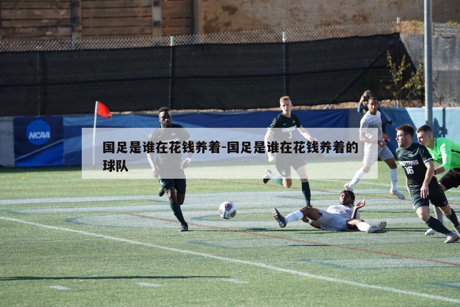 国足是谁在花钱养着-国足是谁在花钱养着的球队