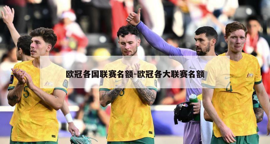 欧冠各国联赛名额-欧冠各大联赛名额