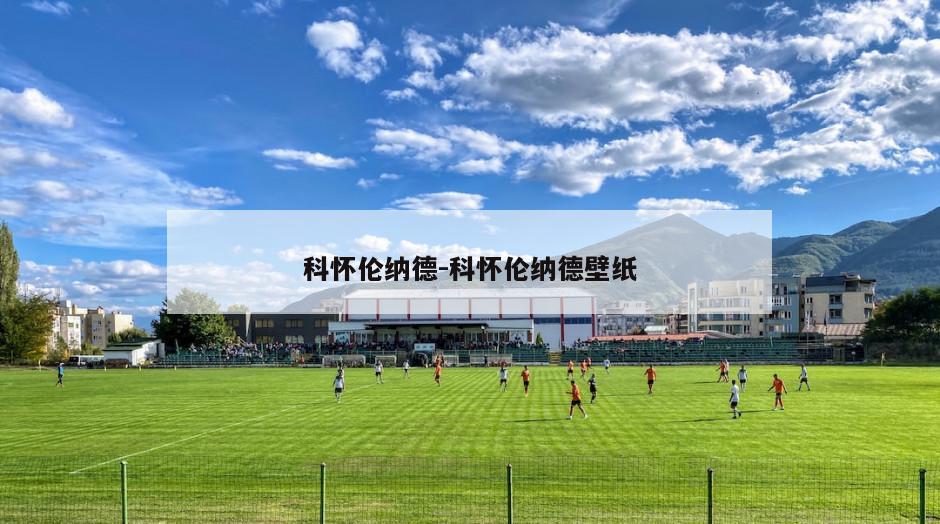 科怀伦纳德-科怀伦纳德壁纸